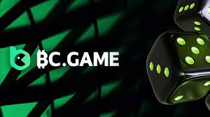 Understanding BC.Game Kyc Why It Matters Understanding BC.Game Kyc Why It Matters